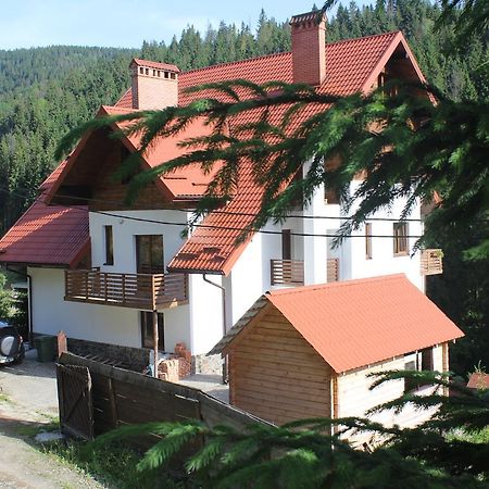 Біля Витягу Slavske Ngoại thất bức ảnh